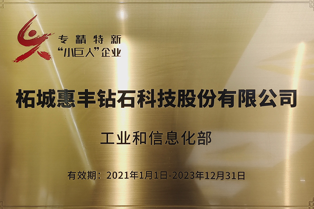 專(zhuān)精特新小巨人企業(yè)